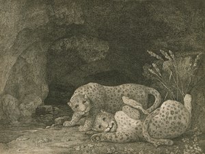 アーティスト、パブによって刻まれたプレイでタイガース。 1789